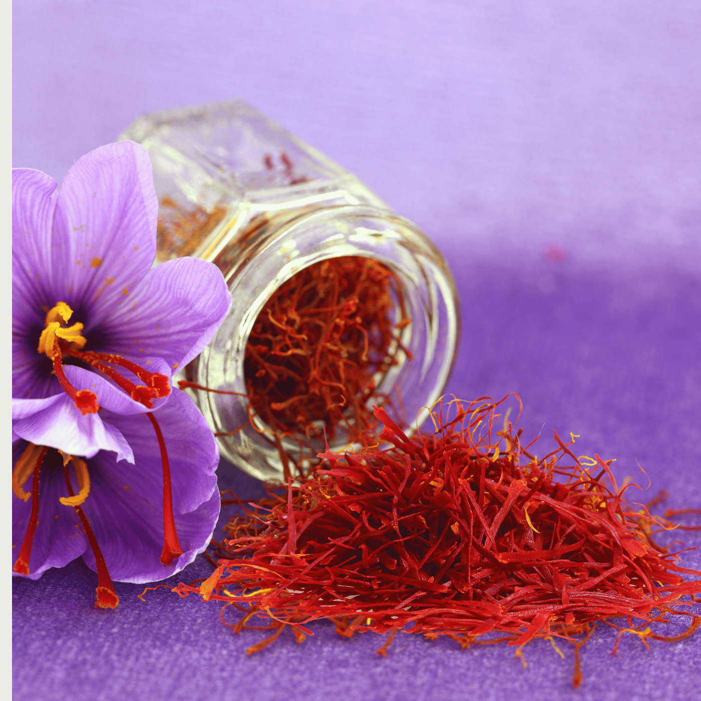 Afghan Saffron - Super Nigin