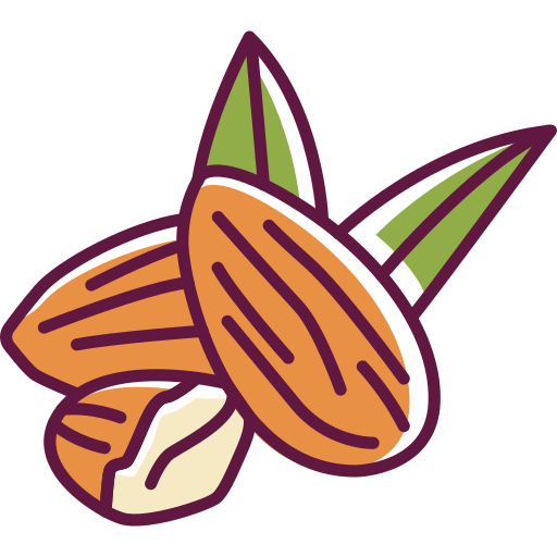 Almond icon